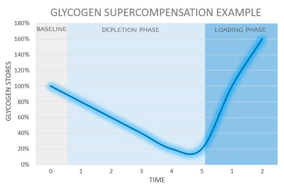Glycogen Supercompensation in Bodybuilding